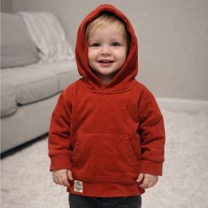 Polo Ralph Lauren 2t boys lined burnt red hoodie